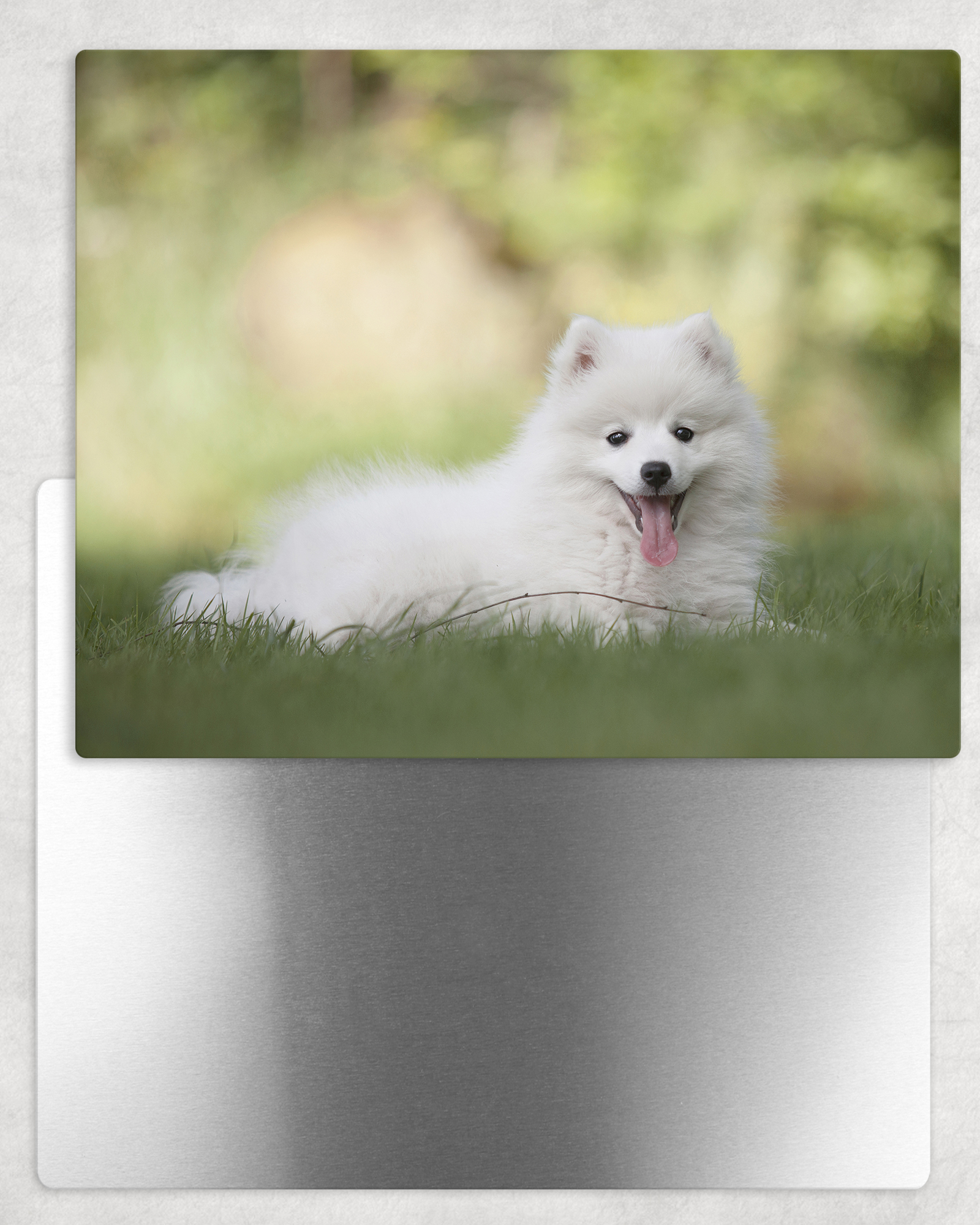 Create Your Own Metal Photo Panel - Landscape 8x10 - Schoppix Gifts