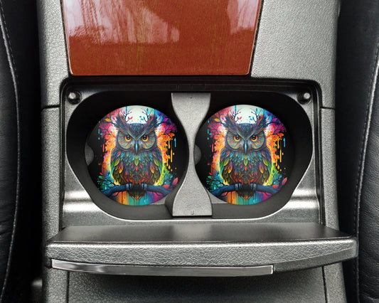a pair of colorful owls sitting on the center console of a car