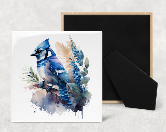 a blue bird is sitting on a branch