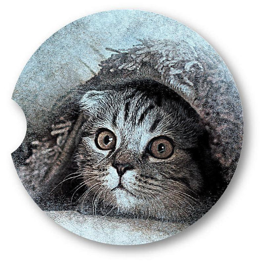 Kitten Car Coasters /Set of 2  . - Schoppix Gifts