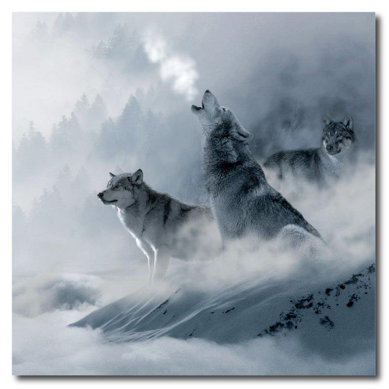 Square Beautiful Wolves  Drink Coaster-Set of 4- Available in 4 styles! - Schoppix Gifts