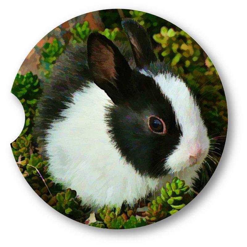 Bunny Rabbit  Sandstone Car Coasters /set of 2 - Schoppix Gifts