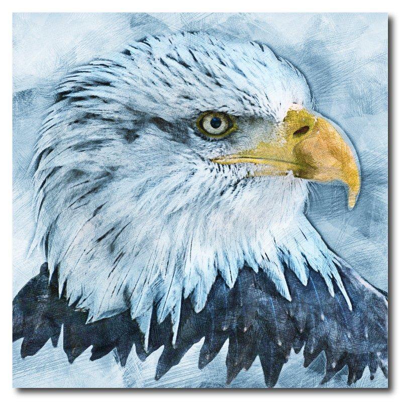 Painted style Bald Eagle Face Square Drink Coaster-Set of 4- Available in 4 styles! - Schoppix Gifts