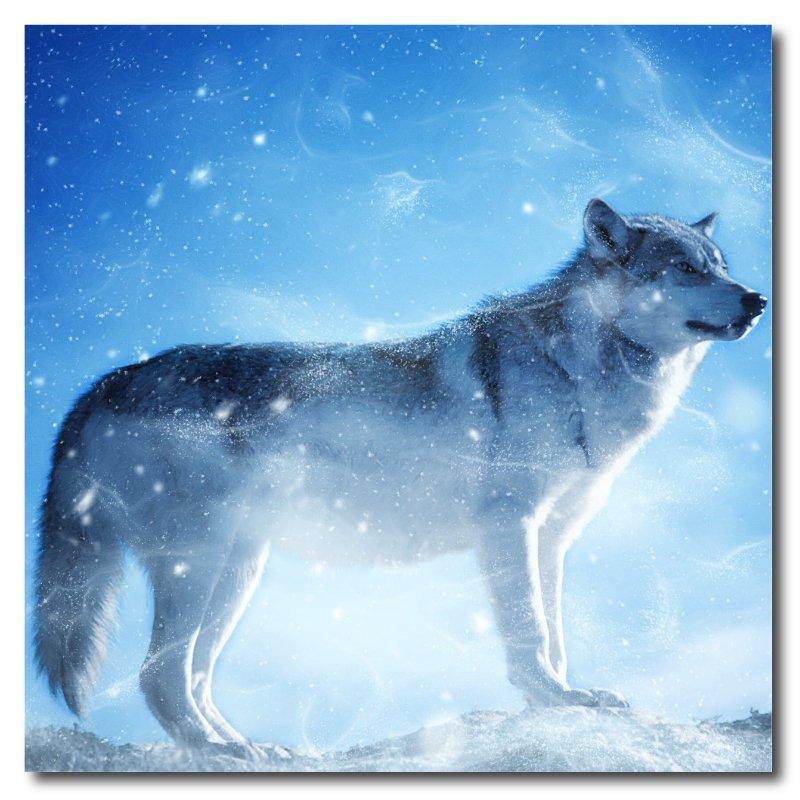 Lone Wolf Square Drink Coaster-Set of 4- Available in 4 styles! - Schoppix Gifts