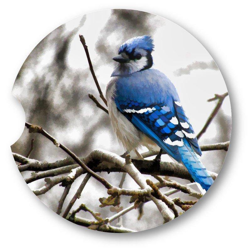 Blue jay Car Coasters set of 2 - Schoppix Gifts