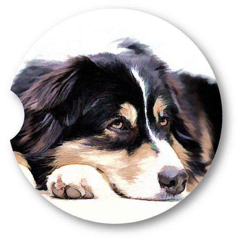 Border Collie Laying Sandstone Car Coasters /  Set of 2 - Schoppix Gifts