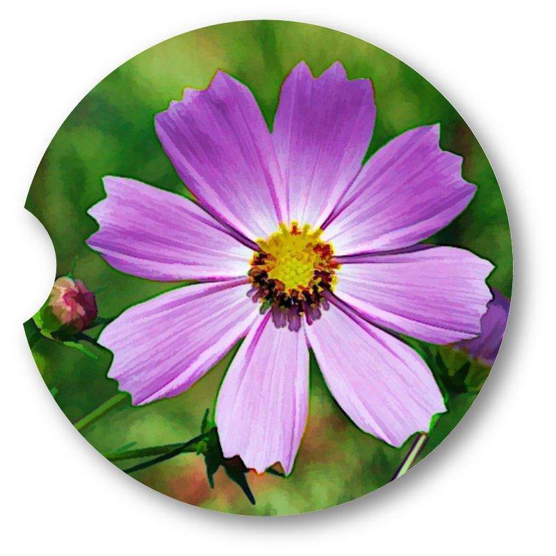 Cosmos Sandstone Car Coasters/Set of 2 - Schoppix Gifts