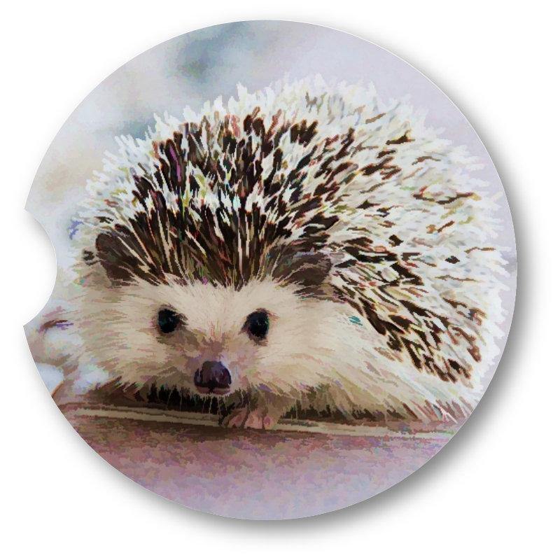 Hedgehog Sandstone Car Coasters / Set of 2 - Schoppix Gifts