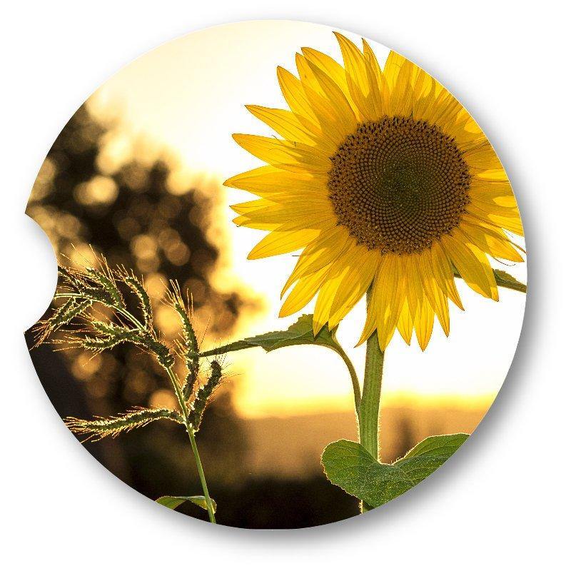 Autumn Sunflower/Fall Car Coasters / Set of 2 - Schoppix Gifts
