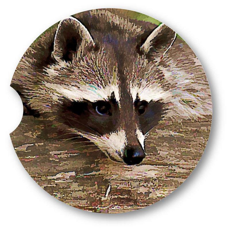 Oil Painted Look Raccoon Sandstone Car Coasters set of 2 - Schoppix Gifts
