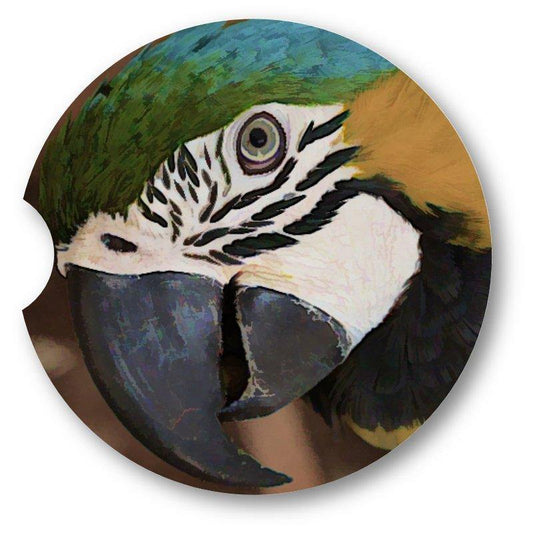 Oil Painted Look Macaw Car Coasters set of 2 - Schoppix Gifts