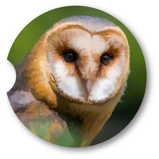 Watercolor Look Barn Owl Coasters set of 2. Optional