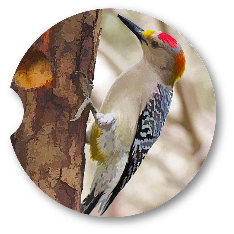 Watercolor Look Woodpecker Coasters set of 2 - Schoppix Gifts