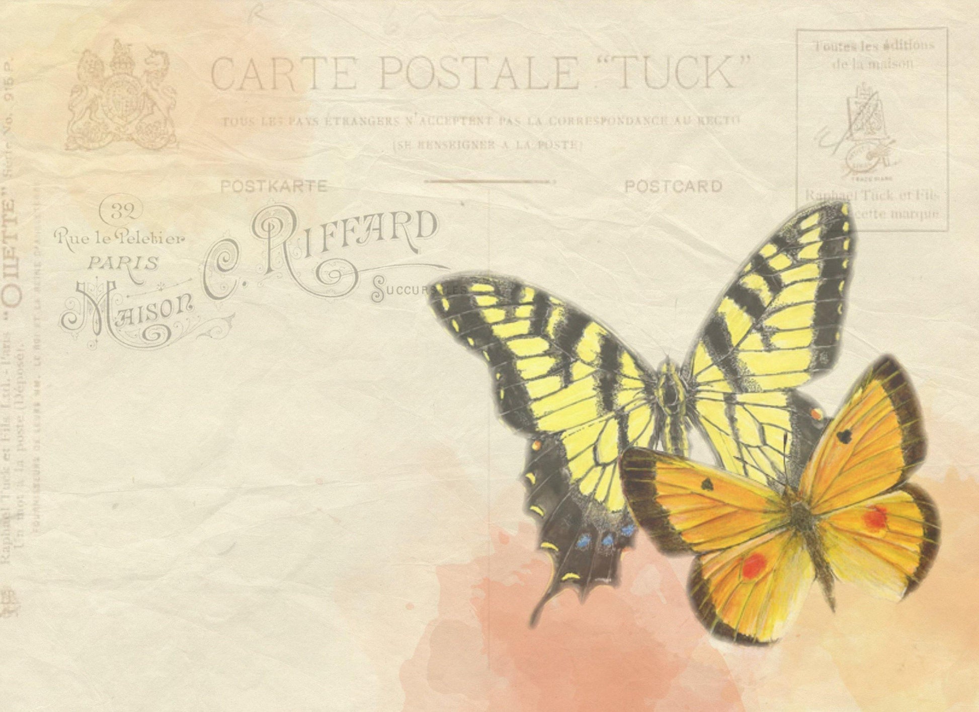 Butterfly Postcard Glass Cutting Board - Schoppix Gifts
