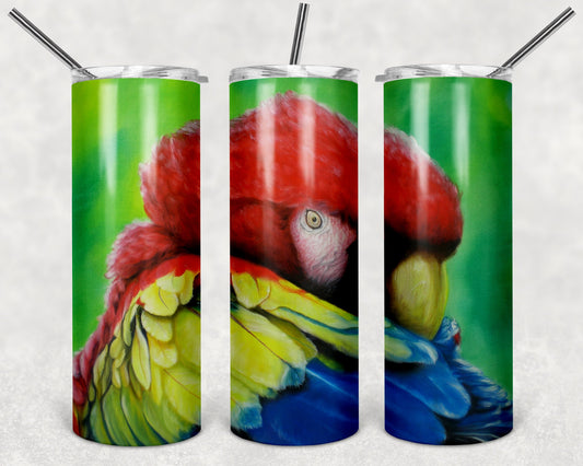 Beautiful Macaw Portrait Art 20oz Skinny Tumbler - Stainless Steel