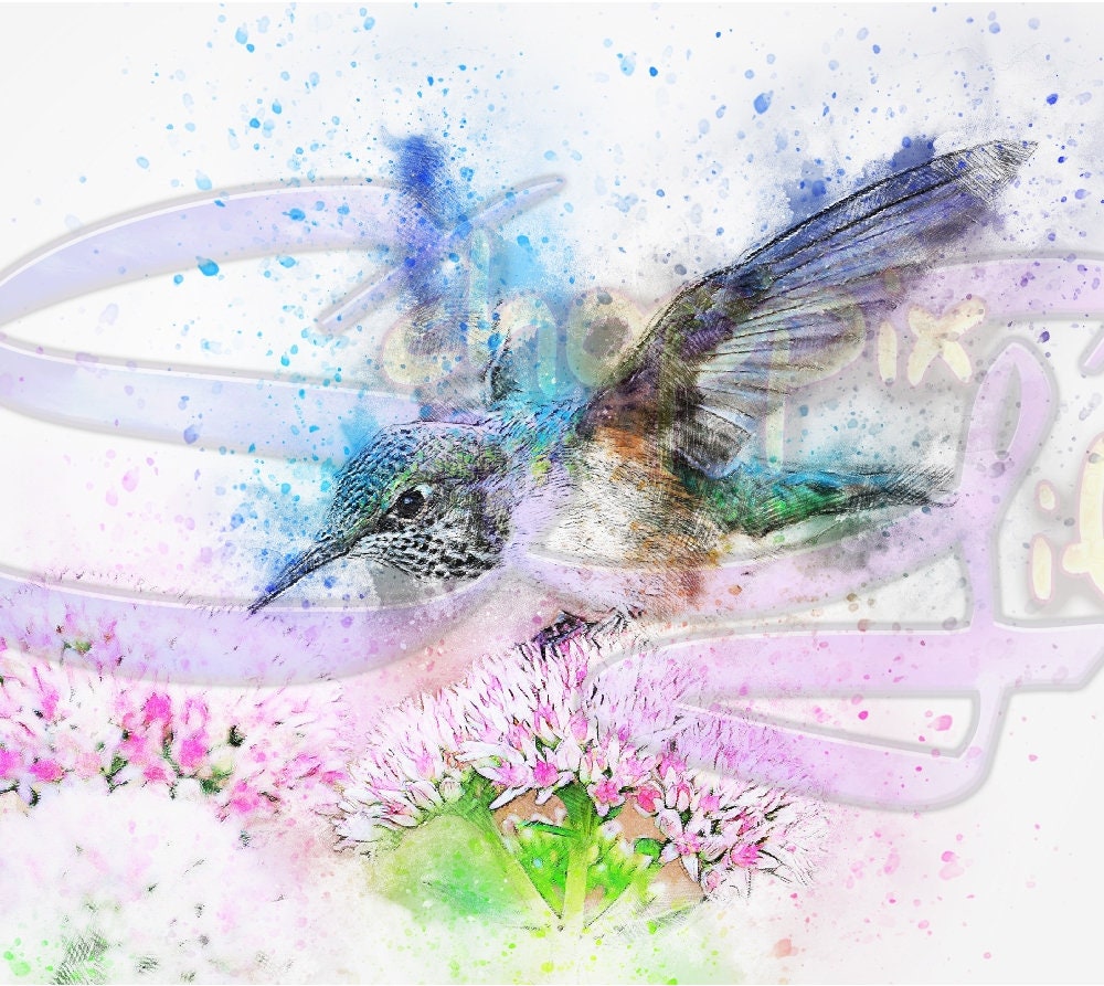 Watercolor Style Hummingbird Art 20oz Skinny Tumbler - Stainless Steel