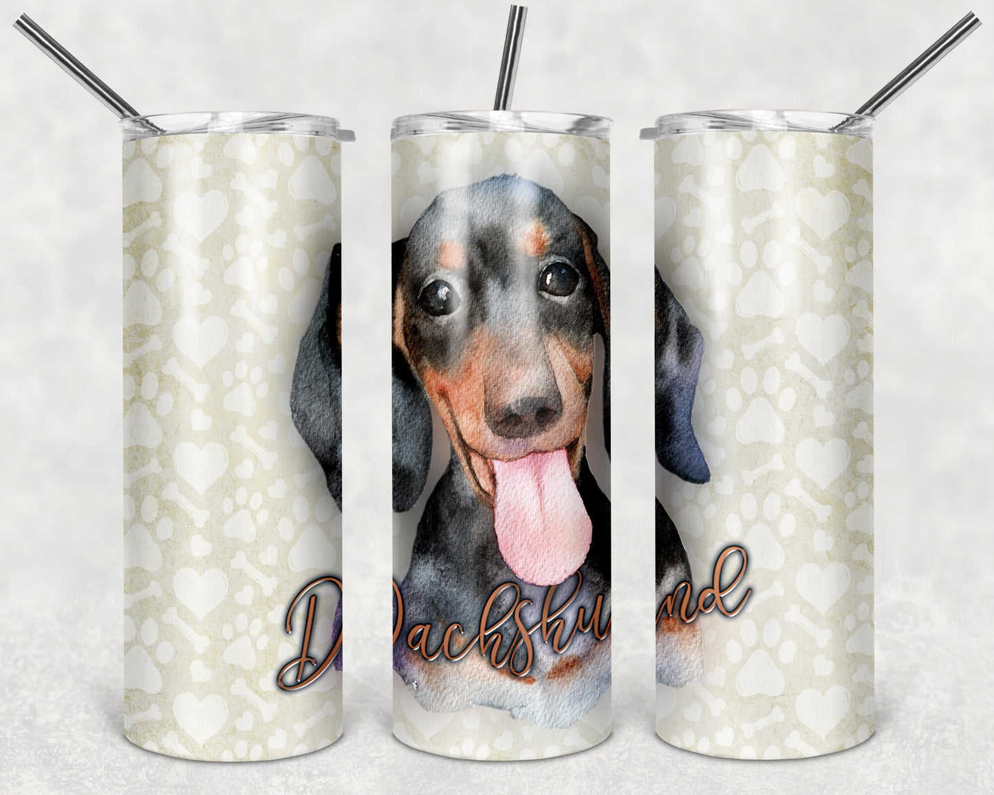 Dachshund Art 20oz Skinny Tumbler - Stainless Steel