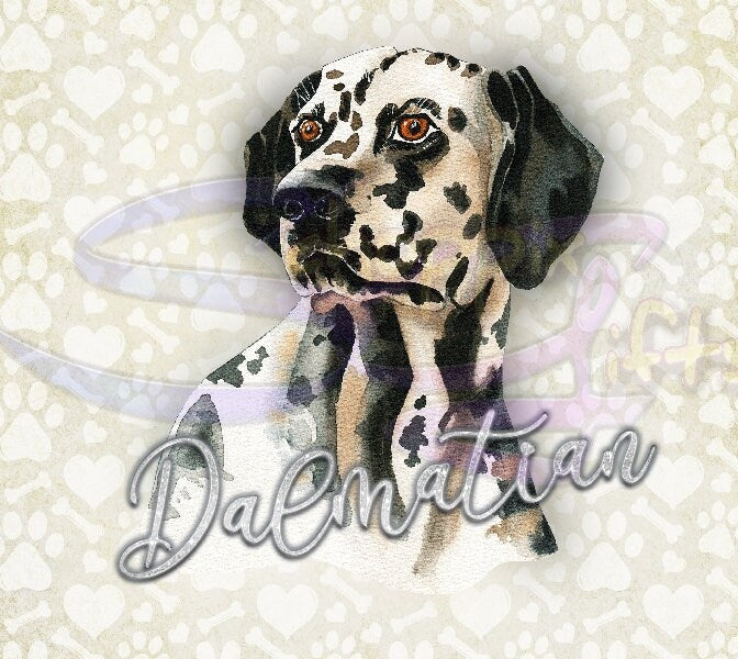 Dalmatian Art 20oz Skinny Tumbler - Stainless Steel