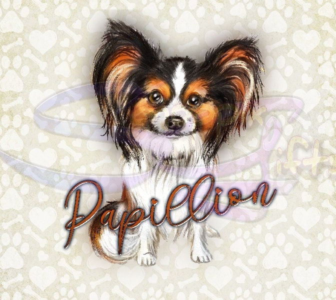 Papillion Art 20oz Skinny Tumbler - Stainless Steel