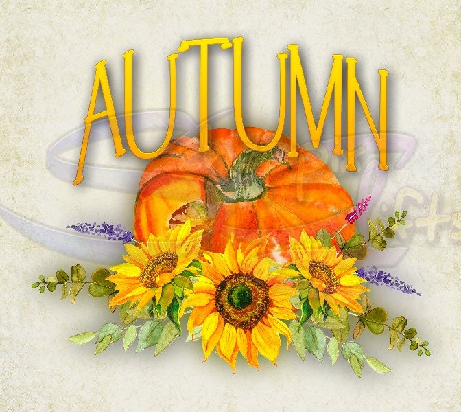 Autumn Pumpkin and Sunflowers Art 20oz Skinny Tumbler - Stainless Steel