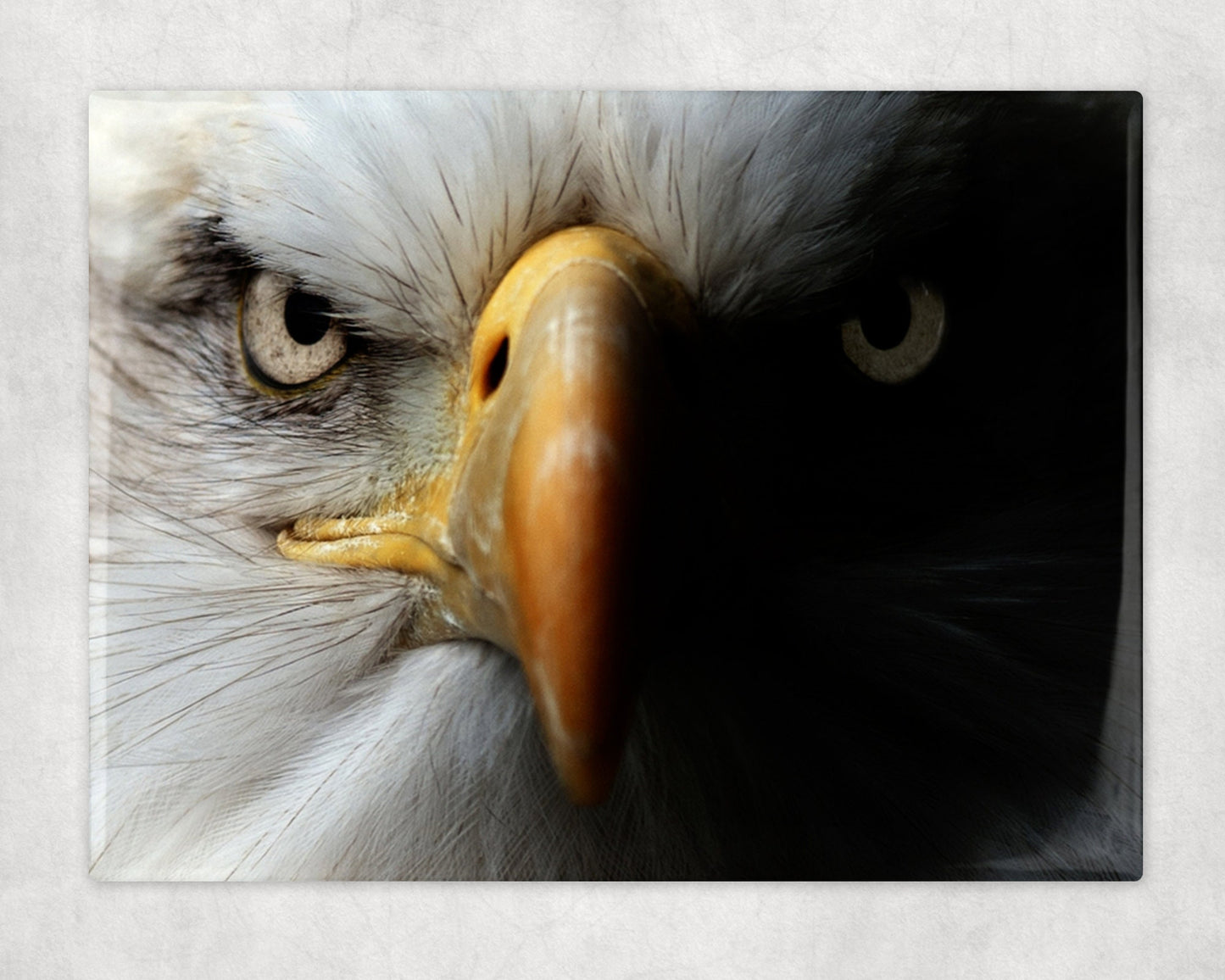 Bald Eagle Portrait Art Decorative Ceramic Tile with Optional Easel Back - 6x8 inches