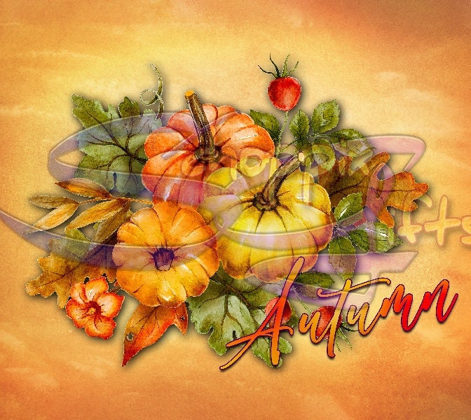 Autumn Pumpkin Art arrangement 20oz Skinny Tumbler - Stainless Steel